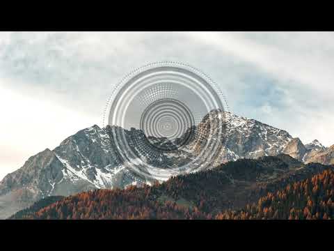 PHCK - Magnolia [Nie Wieder Schlafen]