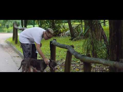 Mc Magal e Mc G15 - Menor Periferia ( Web Clipe Oficial ) Dj Guil Beats