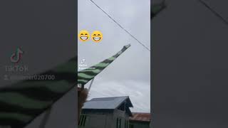 Download lagu burung tenaga karet mp3 Download lagu burung tenaga karet mp3