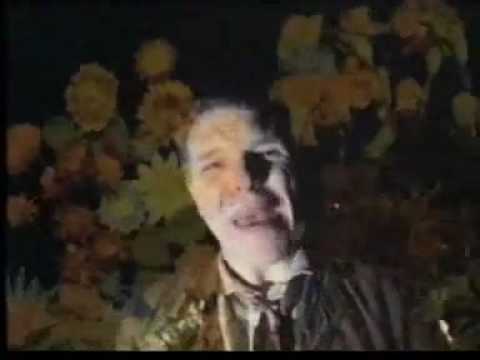 CARDIACS : IS THIS THE LIFE original video