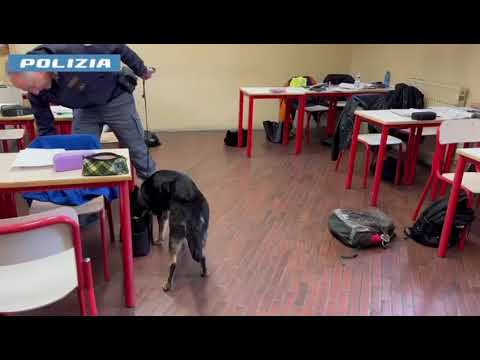 Il naso del cane poliziotto “Athena” trova la droga a scuola