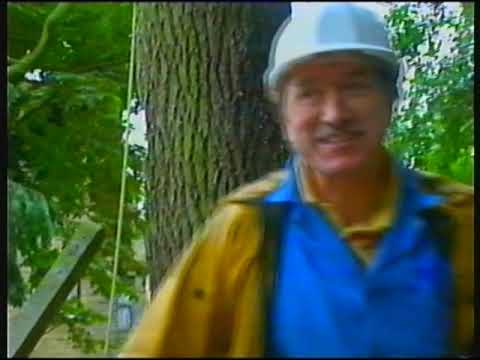 Mr Trebus: A Life of Grime Special (2002)