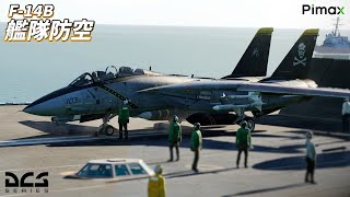 【DCS World】F-14Bを飛ばして対艦攻撃を阻止します【Pimax VR】