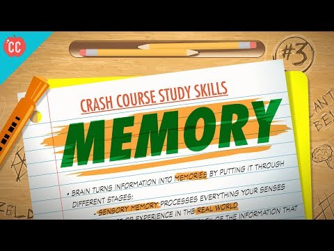 記憶力。速成班學習技巧3號 (Memory: Crash Course Study Skills #3)