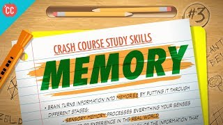 Memory: Crash Course Study Skills