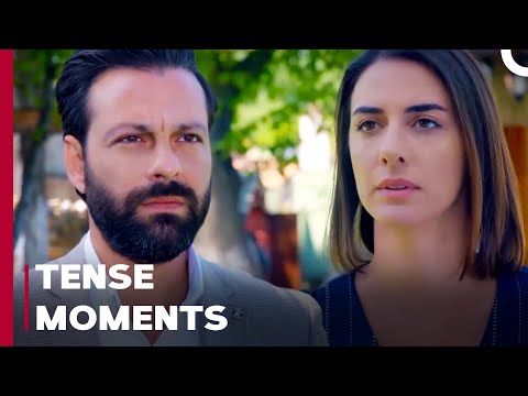 Tarık And Hediye Meet - Can't Stop Loving You