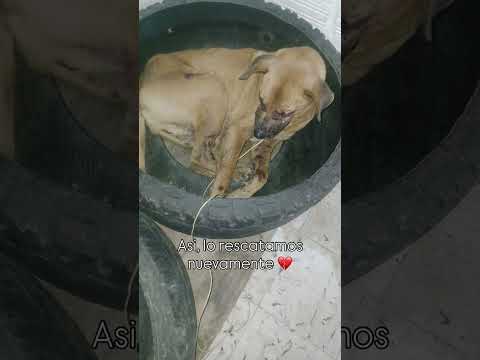 26 de septiembre de 2025