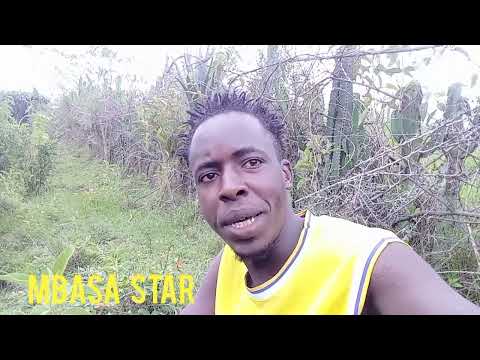 Kalenjin artists comedy latest_mbasa star 4k video