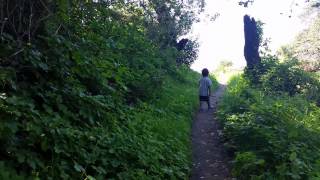 Hiking with the boys