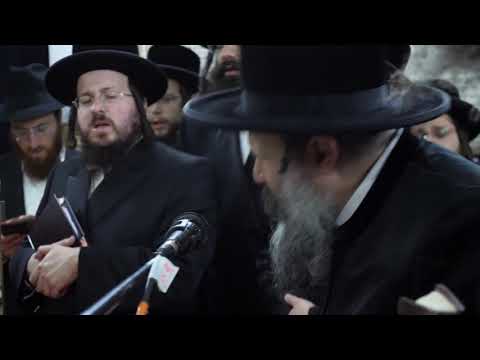 WATCH: Bobov-45 Rebbe Trip to Poland
