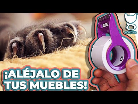 HOW TO STOP MY CAT FROM SCRATCHING THE FURNITURE! | LA GATERÍA TV