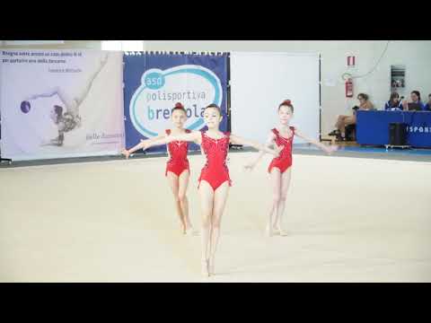 SERIE D LC ALLIEVE   1 Squadra   INSIEME