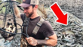 We Found a Waterhole FULL of FISH! Catch Clean Cook