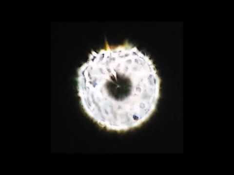 Celestron C14 Edge HD SCT baffle tube currents