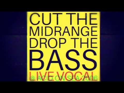 Cylob - Cut The Midrange, Drop The Bass (live vocal)