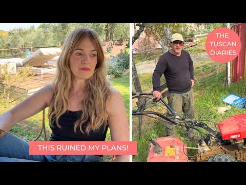 I HAD A PLAN FOR THE GARDEN...THEN HE DID THIS