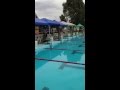 IMG 0038