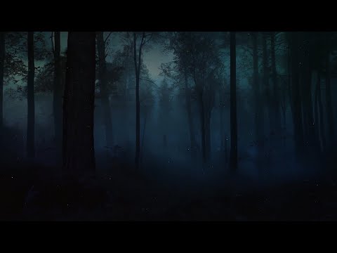 Enijs Maiks - Dark Is A Night [2024]