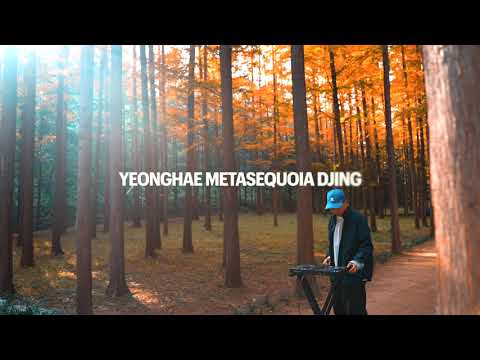 디제이티즈 (DJ Tiz) - 대한민국 100대 명품 숲 / 영해 메타세콰이어 디제잉