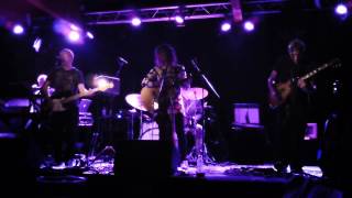 If I Had You / Stackridge Live 2014