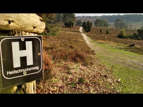 Heidschnuckenweg 2 Etappe
