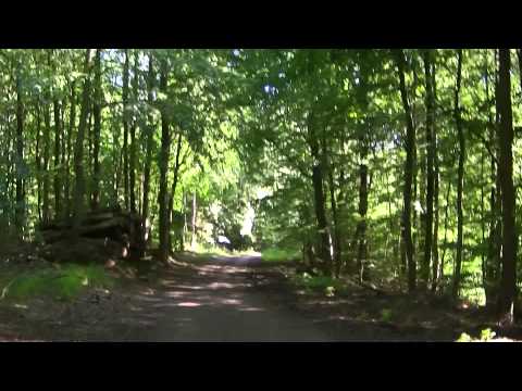 MongoTV_561 - Del 21 - Fede John På Skovtur Og Søndagsudflugt - 23.August 2015