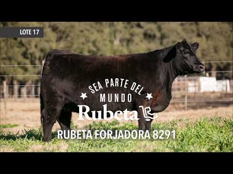 17   RUBETA FORJADORA 8291