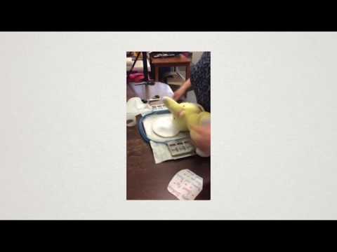 YouTube video