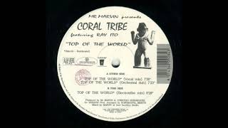 Mr Marvin Presents Coral Tribe Featuring Ray Ito - Top Of The World (Electrotribe Mix)
