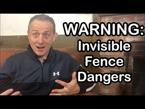 YouTube video about: How close can a dog get to an invisible fence?