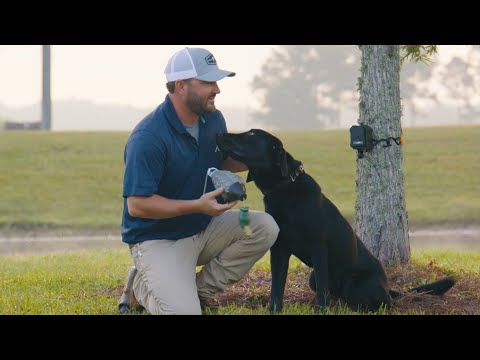 Mastering the Craft - Episode 2: Brad Arington