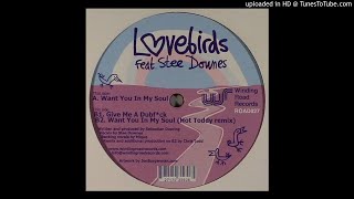 Lovebirds feat. Stee Downes - Want You In My Soul *Deep House*