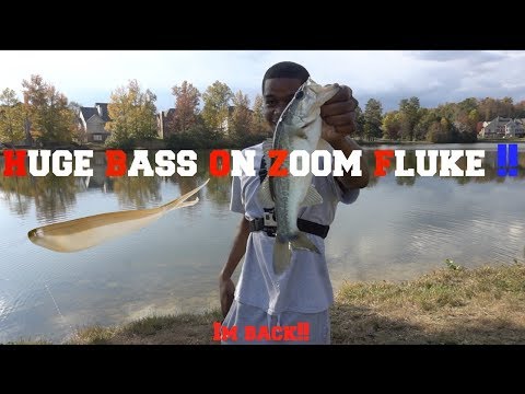 Huge Bass On Fluke + Im Back !!