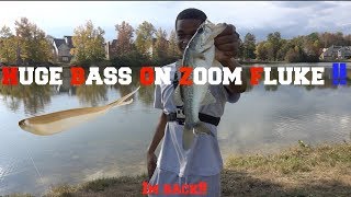 Huge Bass On Fluke + Im Back !!