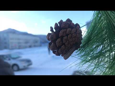 winter skiing in Kamchatka in the city of Vilyuchinsk