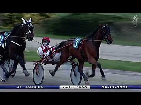 Aversa trotto 29 Dicembre 2021 - 4° Corsa
