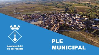 Ple Ordinari | Dm. 14 de juliol de 2026