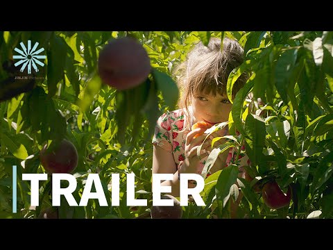 알카라스의 여름(Alcarras) 메인 예고편