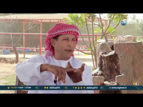 img-video
