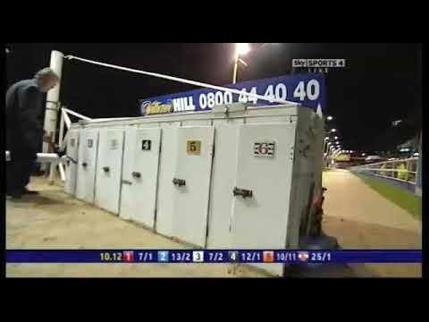 THE William Hill Greyhound Derby Final