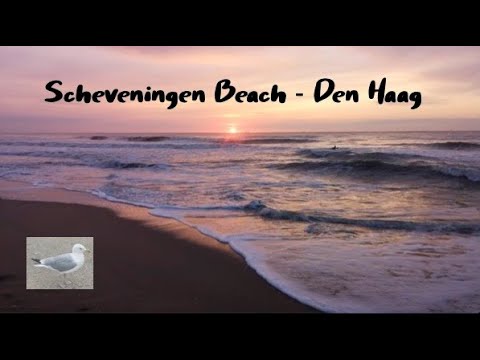 Come to the beach ... to  the Scheveningen Beach in Den Haag