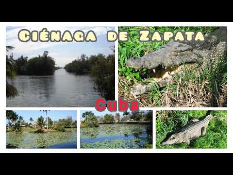 Cienaga de Zapata.  Matanzas. Cuba. @MisViajes jemar