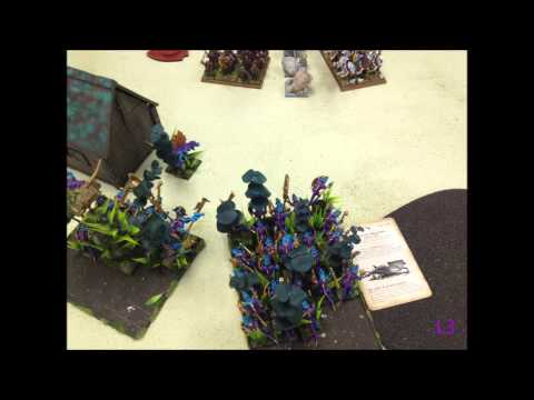 51 Lizardmen vs  Bretonnia
