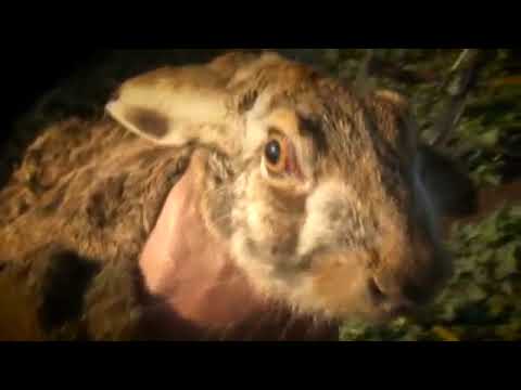 L'élevage au quotidien