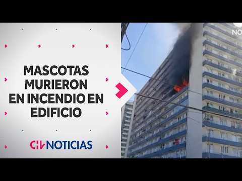Incendio consumió dos pisos de edificio en Quinta Normal: Mascotas fallecieron en el lugar