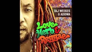 Taj Weekes & Adowa - The Laws (against marijuana) (2016) - REGGAE