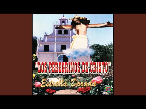 Señor Tú Eres la Paz