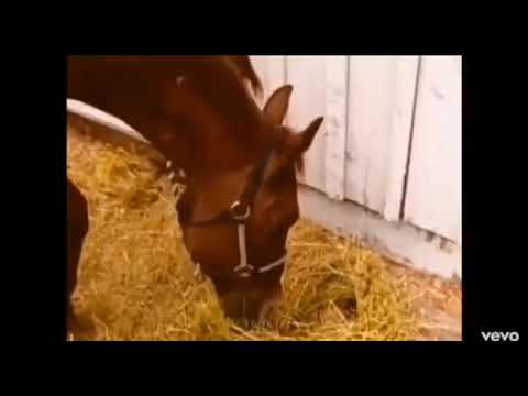 Jerry Cantrell's horse, Scum Bucket