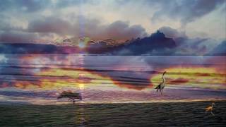 Banco del mutuo soccorso - 750.000 anni fa..... l'amore?