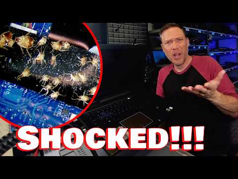 This Wasn’t a Laptop Repair… It Was a Biohazard! Bed Bugs! Cat Pee!